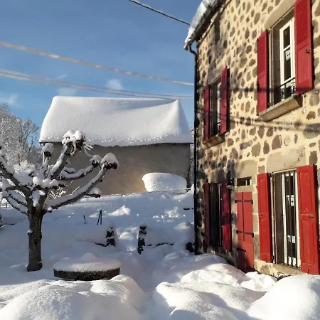 Maison De Caractere Au Coeur Des Volcans D'auvergne Avec Jardin, Cheminee Et Proche Des Activites Outdoor - Fr-1-742-464 Semesterbostad Dienne (Cantal)