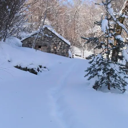 Maison De Caractere Au Coeur Des Volcans D'auvergne Avec Jardin, Cheminee Et Proche Des Activites Outdoor - Fr-1-742-464 Semesterbostad Dienne (Cantal)