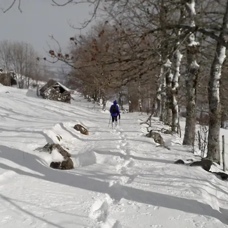 Maison De Caractere Au Coeur Des Volcans D'auvergne Avec Jardin, Cheminee Et Proche Des Activites Outdoor - Fr-1-742-464 *