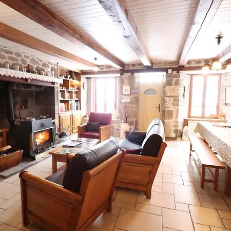 Maison De Caractere Au Coeur Des Volcans D'auvergne Avec Jardin, Cheminee Et Proche Des Activites Outdoor - Fr-1-742-464 * Dienne (Cantal)