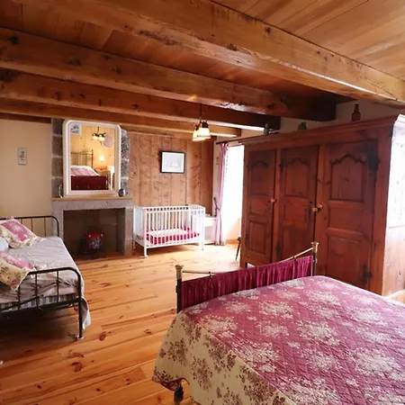 Maison De Caractere Au Coeur Des Volcans D'auvergne Avec Jardin, Cheminee Et Proche Des Activites Outdoor - Fr-1-742-464 Dienne (Cantal)
